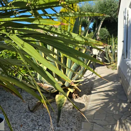Lieblingshaus Mit Beheizten Privatpool Und Ladesaeule *